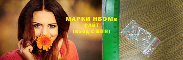 стаф Няндома