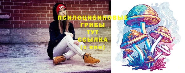 эйфоретик Нязепетровск