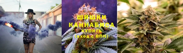 стаф Няндома