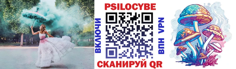 Галлюциногенные грибы Psilocybine cubensis  купить наркотики сайты  Курильск 